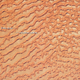 Illustration for article titled The Empty Quarter Is The Largest Sand Sea On The Planet